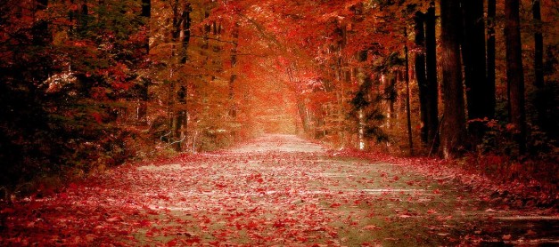 On becoming an Author in the second half of my life