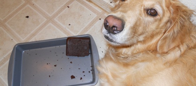 Whodunits, Spy Stories and Intrique – Love those books and their writers