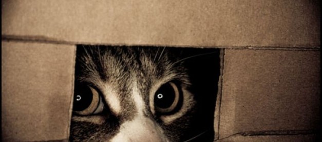 Deafening Silence – now I get it!